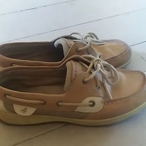 Sperry shoes
